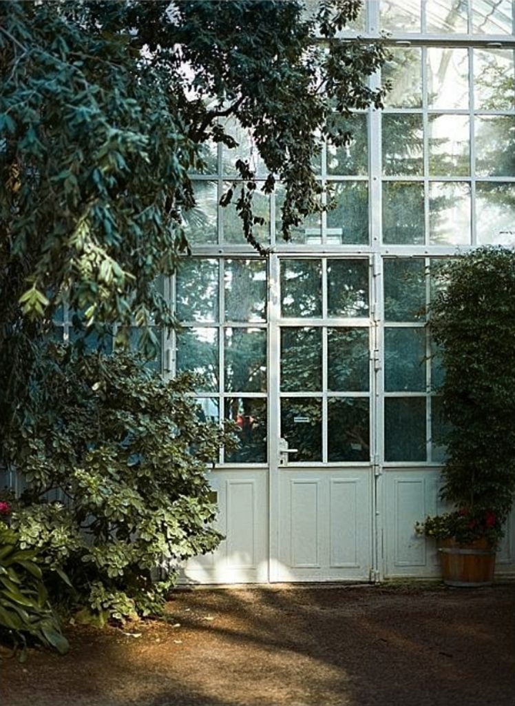 daniela-porwol-hochzeitsfotograf-hamburg